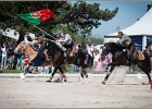 Pferd International 209